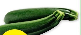 PENNY Zucchini Angebot