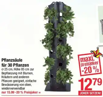 Maximarkt Pflanzsäule Für 30 Pflanzen Angebot