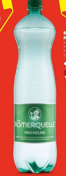 Hofer Mineralwasser Angebot