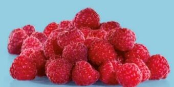 Hofer Himbeeren Angebot