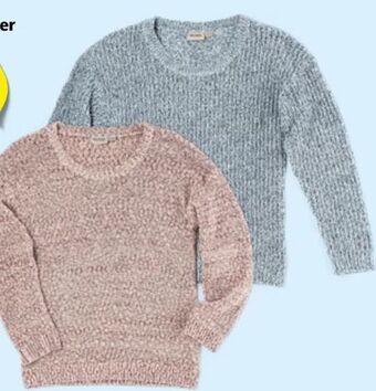 Hofer Damen-Pullover Angebot