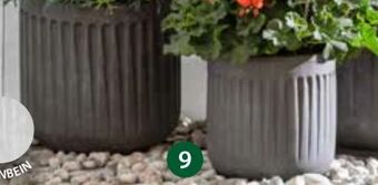 Dehner Pflanztopf Angebot