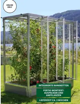 Dehner Tomatenhaus Maxi Angebot