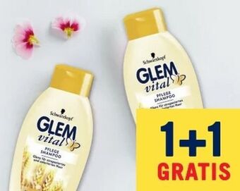 MPreis Glem Vital Shampoo Angebot