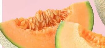 MPreis Zuckermelone Angebot