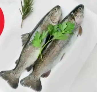 MPreis Bio Forelle Angebot