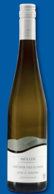 Lidl Grüner Veltliner Angebot