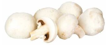 Transgourmet Champignons Angebot