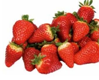Transgourmet Erdbeeren Angebot