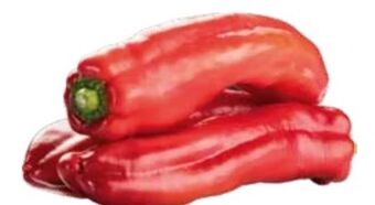 Transgourmet Paprika Angebot