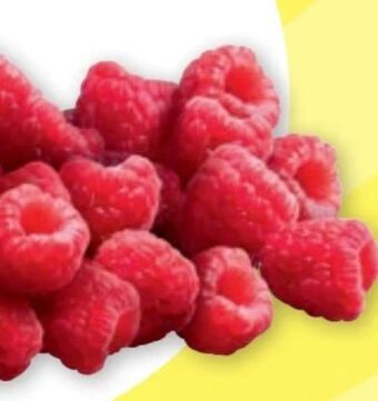 PENNY Himbeeren Angebot