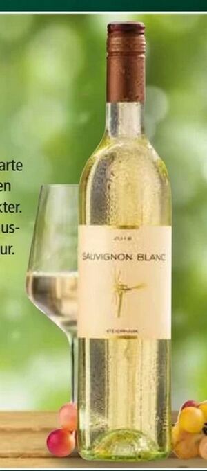 Norma Sauvignon Blanc Angebot