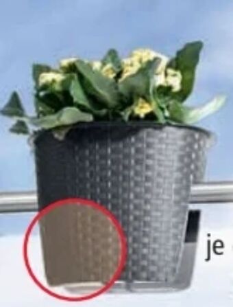 Norma Geländer Pflanztopf Angebot