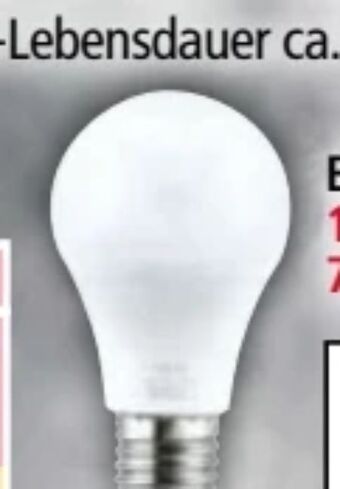 Norma LED-Leuchtmittel Angebot