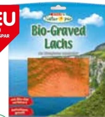 Interspar Bio-Graved Lachs Angebot