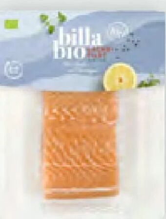 Billa Bio Lachsfilet Angebot