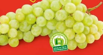 Hofer Trauben Angebot