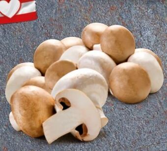 Hofer Champignons Angebot