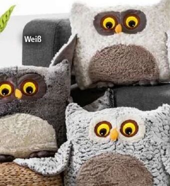 Norma Kissen Eule Angebot