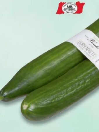 Metro Gurken Angebot