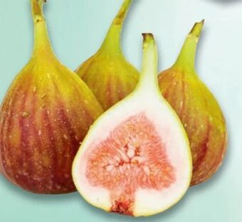 Metro Feigen Angebot