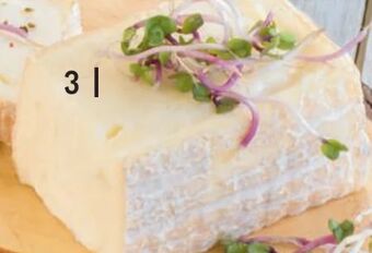 Metro Weichkäse Taleggio Angebot