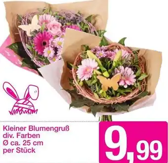 Sutterlüty Kleiner Blumengruß div. Farben 25 cm Angebot