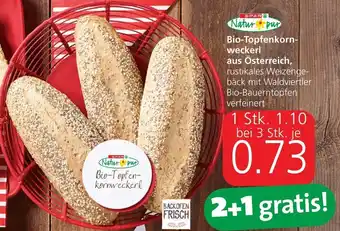 Spar Bio-Topfenkorn-Weckerl Aus Österreich 1Stk. Angebot