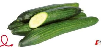 Transgourmet Gurken Angebot