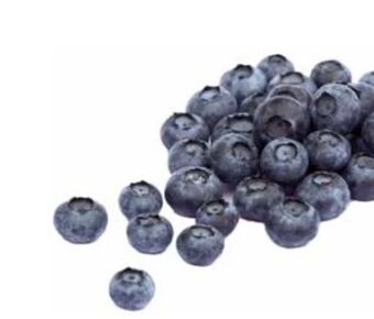Transgourmet Heidelbeeren Angebot