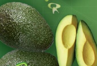 Lidl Avocados Angebot