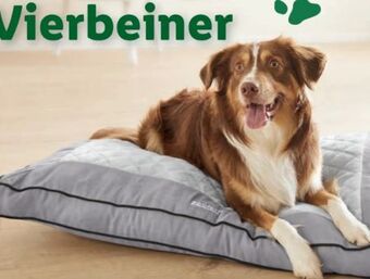 Lidl Hundebett Angebot
