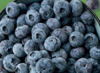 Lidl Heidelbeeren Angebot