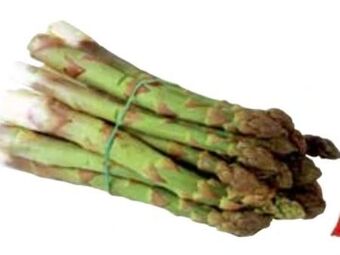 Transgourmet Spargel Angebot