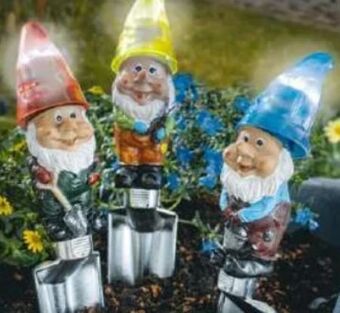 Norma LED Solar-Gartenzwerge Angebot