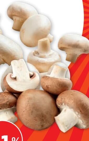 PENNY Champignons Angebot