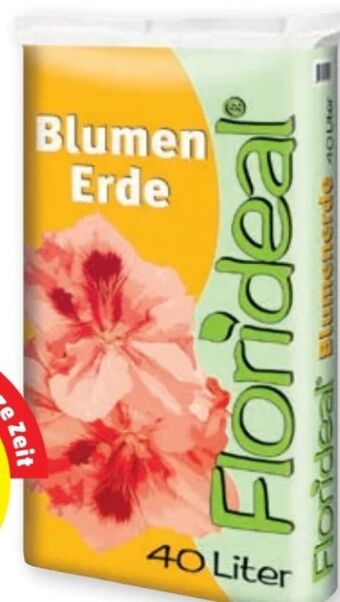 PENNY Blumenerde Angebot