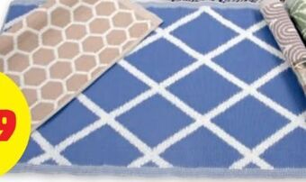 PENNY Outdoor-Teppich Angebot