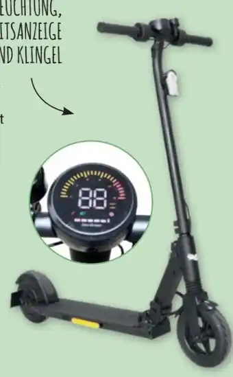 PENNY E-Scooter ESA 800 Angebot