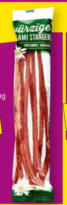 Norma Salami Stangerl Angebot