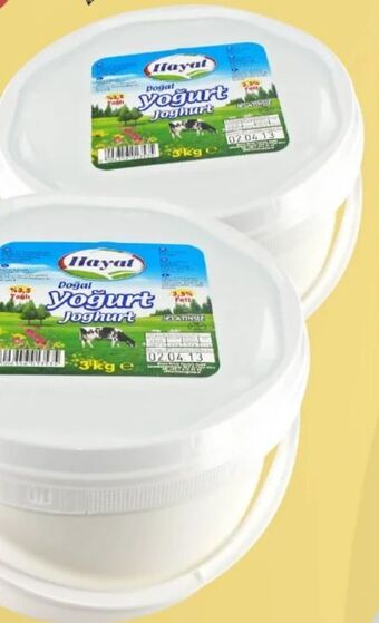 ETSAN Joghurt Angebot