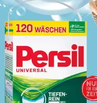 Eurospar Professional Universal-Color Pulver Angebot
