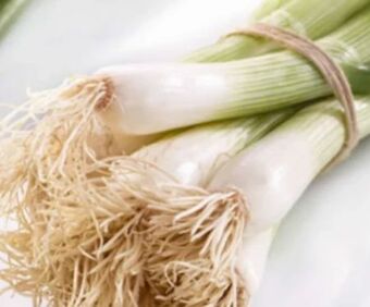 Spar Jungzwiebel Angebot