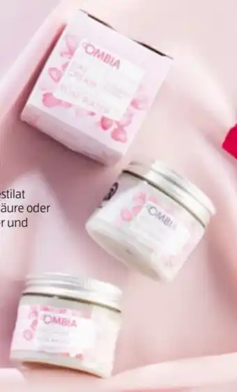 Hofer Gesichtspflege Rose Angebot