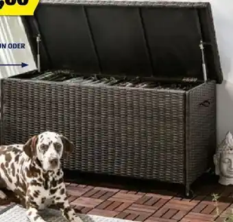 Hofer Kissenbox Milano Angebot