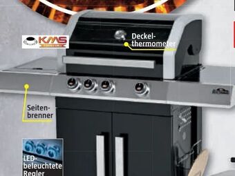 Bauhaus Gasgrill Cliff 350 Angebot