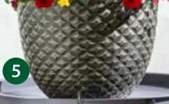 Dehner Pflanzgefäss Diamond Angebot