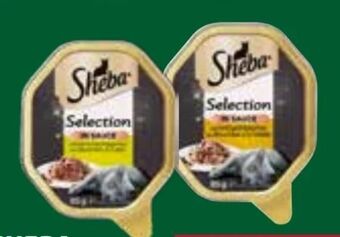 Dehner Katzen-Nassfutter Angebot