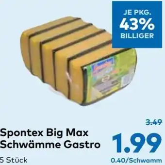 T&G Spontex Big Max Schwämme Gastro 5 stück Angebot