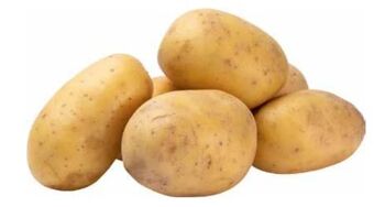 Transgourmet Ofenkartoffel Angebot